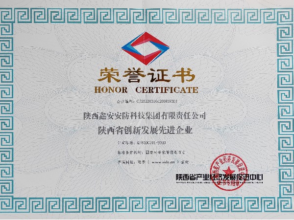 《陜西省創(chuàng)新發(fā)展先進企業(yè)》