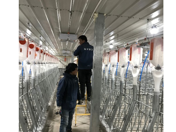 養(yǎng)豬場(chǎng)視頻監(jiān)控系統(tǒng)安裝，從布線到安裝需要的就是嚴(yán)謹(jǐn)